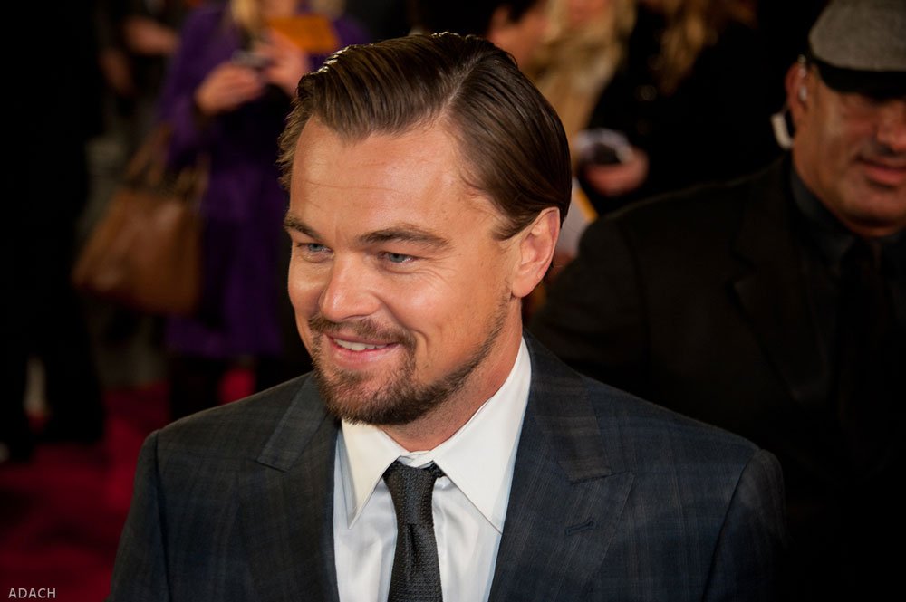Geburtstag von Leonardo DiCaprio 11. November 1974